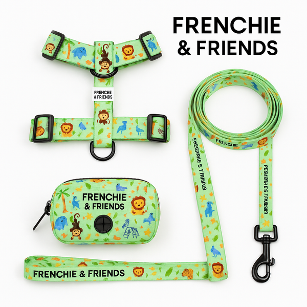 Pack: Arnés Ajustable + Correa + Portabolsas image 0