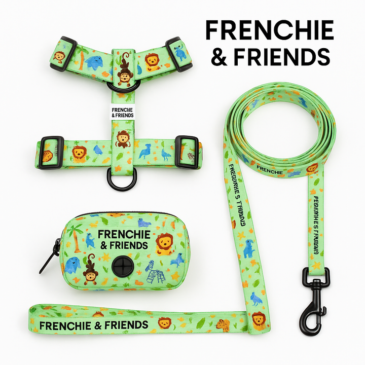 Pack: Arnés Ajustable + Correa + Portabolsas image 0